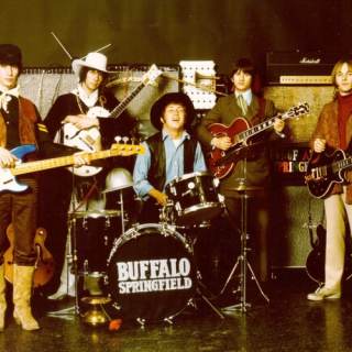 Buffalo SpringField