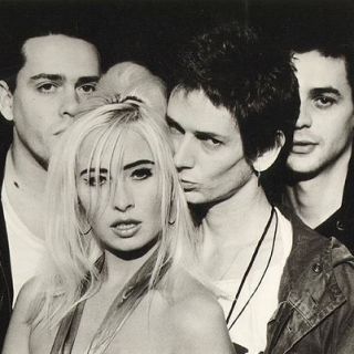 Transvision Vamp