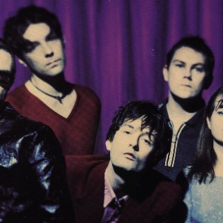 Pulp